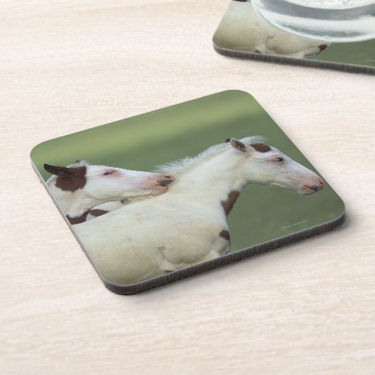 Afbeeldingen afspelen onderzetter (Linkerzijde)