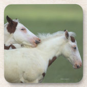 Afbeeldingen afspelen onderzetter (Voorkant)