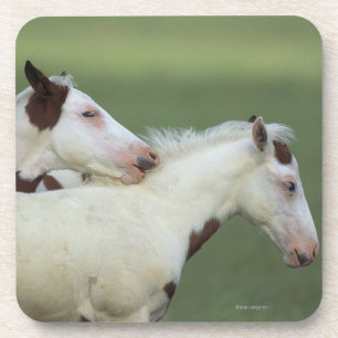 Afbeeldingen afspelen onderzetter