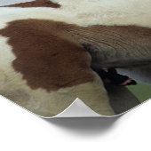 Afbeeldingen afspelen poster (Hoek)