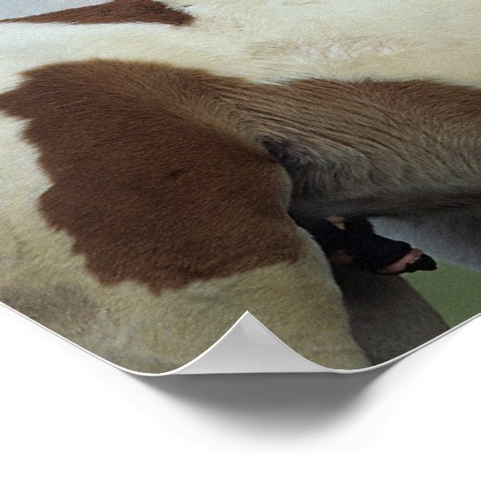 Afbeeldingen afspelen poster (Hoek)