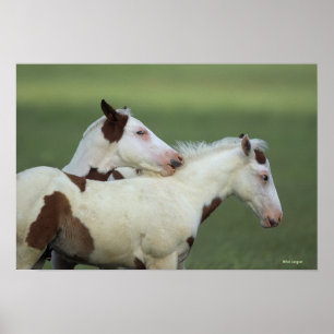 Afbeeldingen afspelen poster