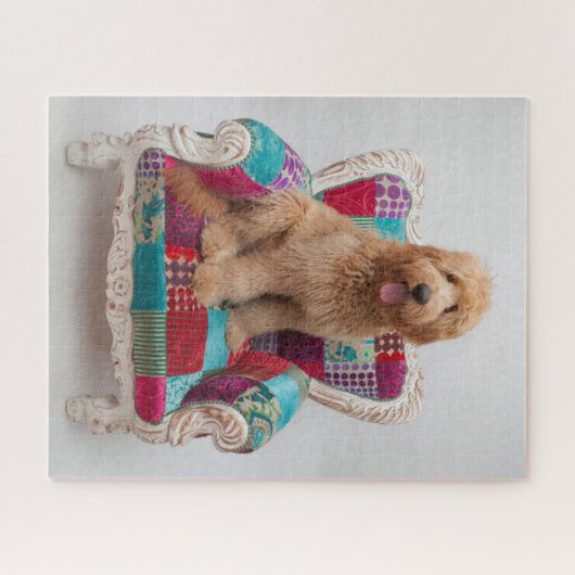 Afbeeldingen| Cute Goldendole Legpuzzel (Horizontaal)