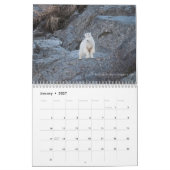 Afbeeldingen door Laveda 2024-2025 Kalender (Jan 2027)