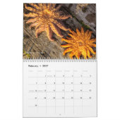 Afbeeldingen door Laveda 2024-2025 Kalender (Feb 2027)