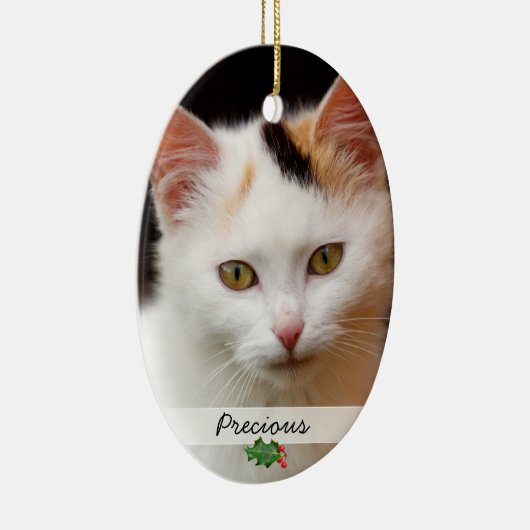 Afbeeldingen gezelschapsdieren, dubbelzijdig Ornam Keramisch Ornament (Rechts)