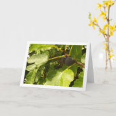 Afbeeldingen in boomportret kaart (Gele Bloem)