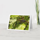 Afbeeldingen in boomportret kaart (Voorkant)