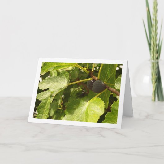 Afbeeldingen in boomportret kaart (Voorkant)