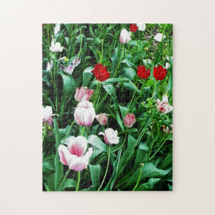 Afbeeldingen met rode en roze tulpen legpuzzel
