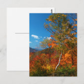 Afbeeldingen najaar briefkaart (Voorkant / Achterkant)