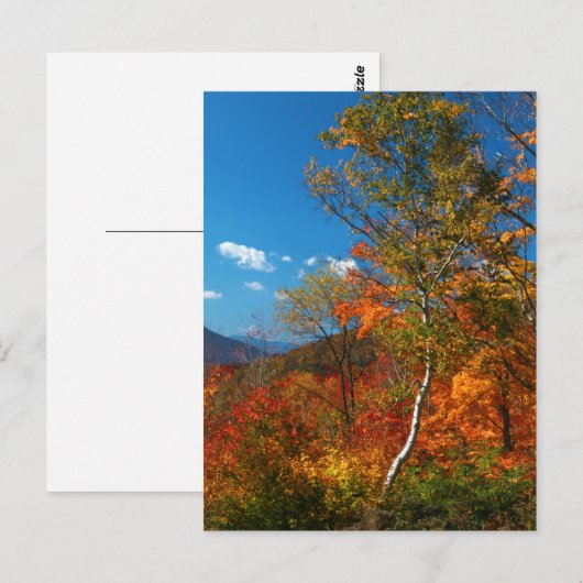 Afbeeldingen najaar briefkaart (Voorkant / Achterkant)