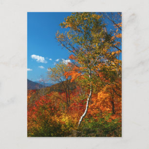 Afbeeldingen najaar briefkaart