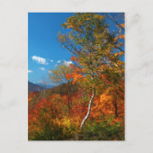 Afbeeldingen najaar briefkaart (Voorkant)