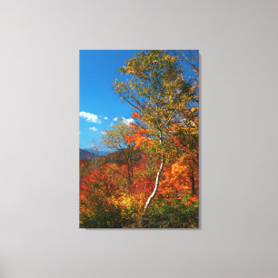 Afbeeldingen najaar canvas afdruk