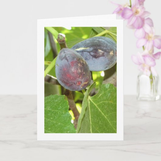 Afbeeldingen op boomportret kaart (Orchidee)