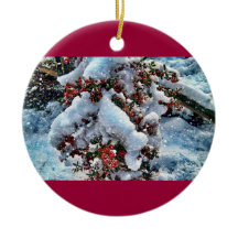 Afbeeldingen op een instelling sneeuwen