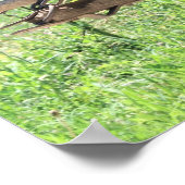 Afbeeldingen op het werk in pinto poster (Hoek)