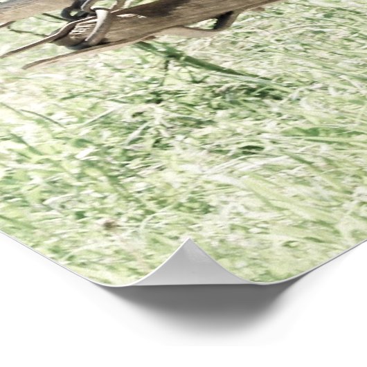 Afbeeldingen op het werk in pinto poster (Hoek)