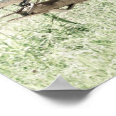 Afbeeldingen op het werk in pinto poster (Hoek)