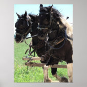 Afbeeldingen op het werk poster (Voorkant)