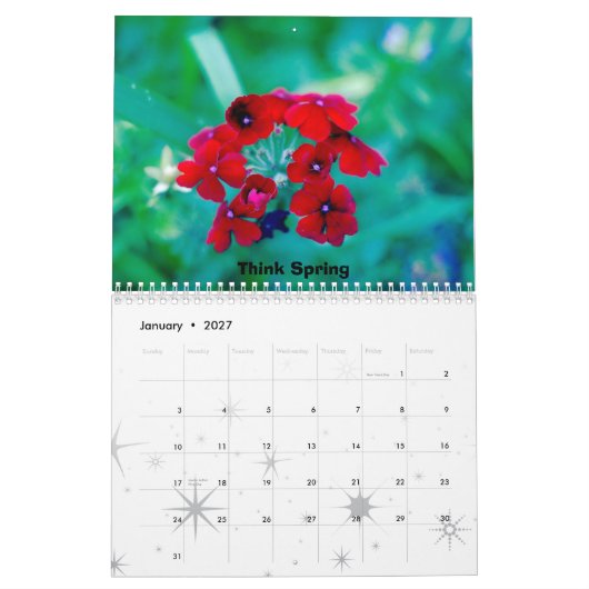 Afbeeldingen uit Amerika Kalender (Jan 2027)