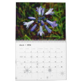 Afbeeldingen uit Amerika Kalender (Mar 2026)