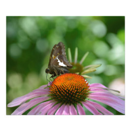 AFBEELDINGEN UIT FOTOAFDRUKKING FOTO AFDRUK