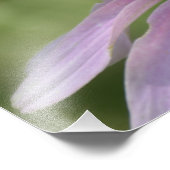 AFBEELDINGEN UIT FOTOAFDRUKKING FOTO AFDRUK (Hoek)