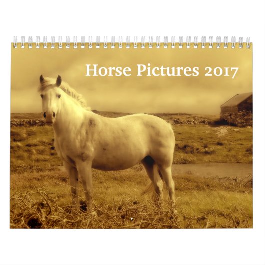 Afbeeldingen van Afbeeldingen van schitterende paa Kalender (Hoes)