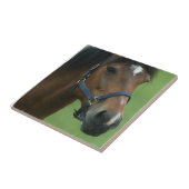 Afbeeldingen van Arabische paarden Tegeltje (Zijkant)