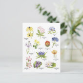 Afbeeldingen van botanische bloemen briefkaart (Staand voorkant)