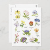 Afbeeldingen van botanische bloemen briefkaart (Voorkant / Achterkant)