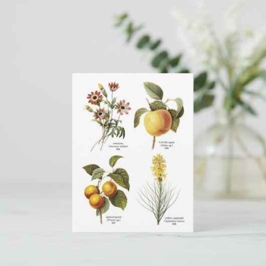 Afbeeldingen van botanische bloemen briefkaart (Staand voorkant)
