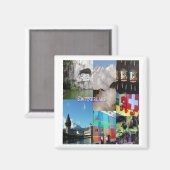 Afbeeldingen van Celeste Sheffey in Zwitserland Magneet (Voorkant / Achterkant)