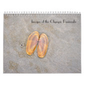 Afbeeldingen van de kalender van het Olympisch sch (Hoes)