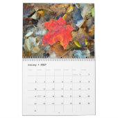 Afbeeldingen van de maïsportefeuille kalender (Jan 2027)