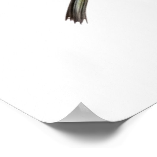 Afbeeldingen van Feeder Graphic Poster (Hoek)