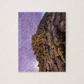 Afbeeldingen van Ierland Photo-Puzzle-with-Gift-Bo Legpuzzel (Verticaal)