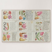 Afbeeldingen van Mira Calligraphiae Monumenta 004 Legpuzzel (Horizontaal)