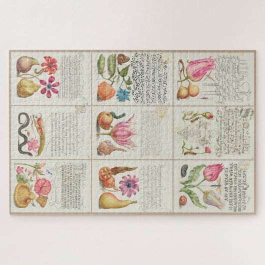 Afbeeldingen van Mira Calligraphiae Monumenta 004 Legpuzzel (Horizontaal)