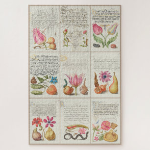 Afbeeldingen van Mira Calligraphiae Monumenta 004 Legpuzzel