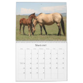 Afbeeldingen van paardachtigen 2011 kalender (Mar 2027)