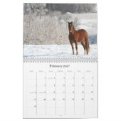 Afbeeldingen van paardachtigen 2011 kalender (Feb 2027)