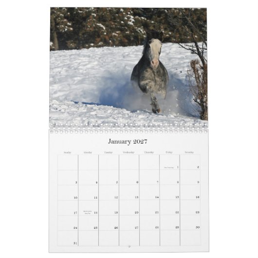 Afbeeldingen van paardachtigen 2011 kalender (Jan 2027)