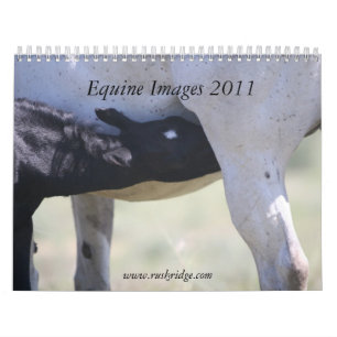 Afbeeldingen van paardachtigen 2011 kalender