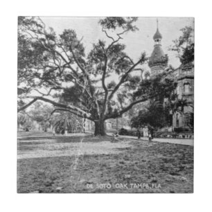  Afbeeldingen van Tampa Florida Tegeltje