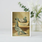 afbeeldingen vogelcadeaus briefkaarten online brie (Staand voorkant)