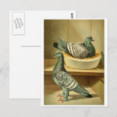 afbeeldingen vogelcadeaus briefkaarten online brie (Voorkant / Achterkant)