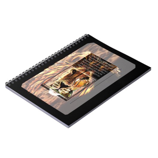 Afbeeldingen voor scripts 01 notitieboek (Linkerzijde)